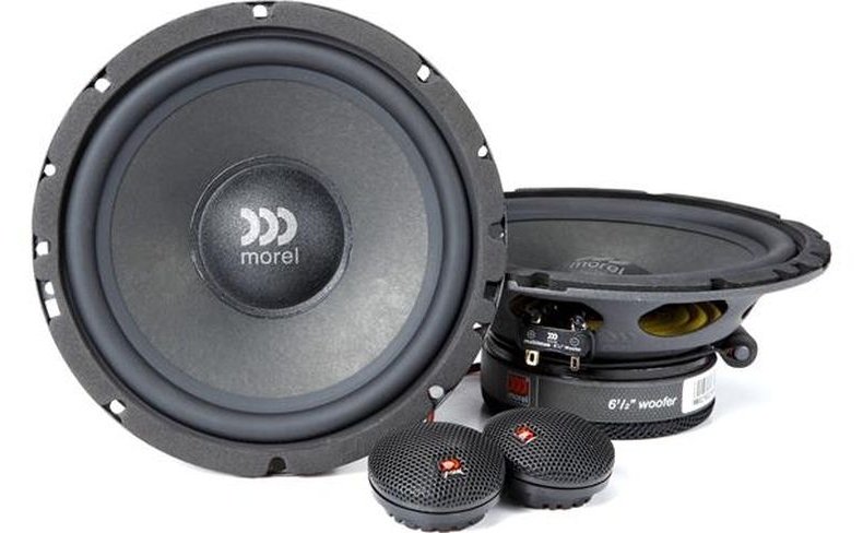 Morel Maximus 602