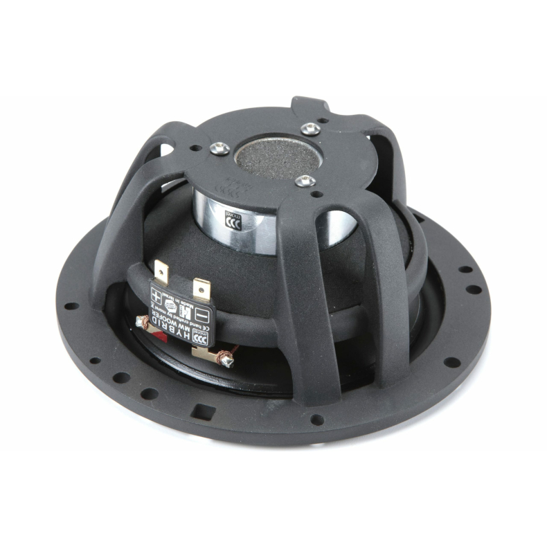 Morel Hybrid 602 - Image 6