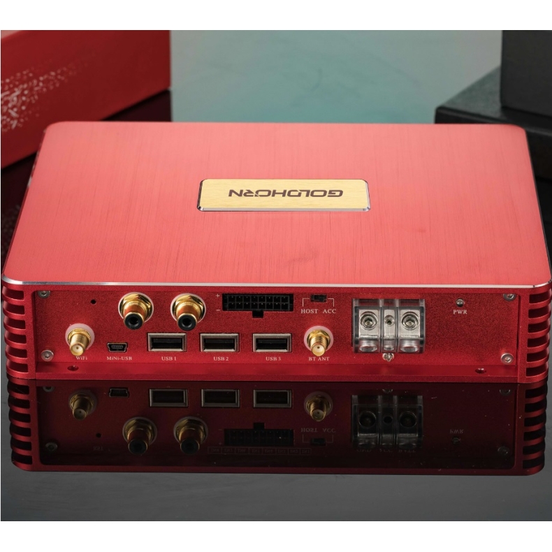 Goldhorn P2 DSPA PRO - Image 5